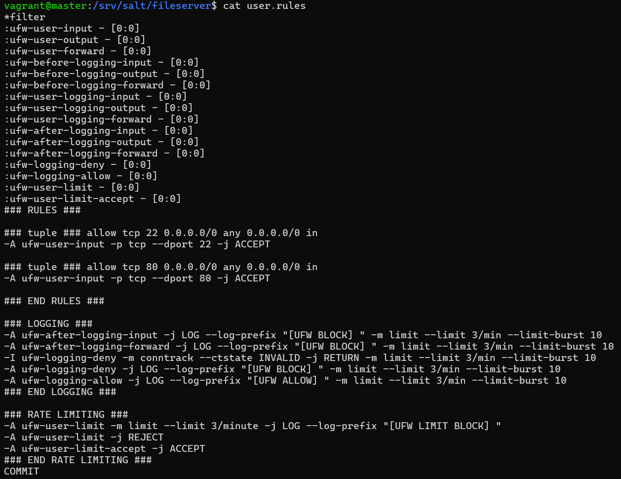 ufw konfigurointitiedosto