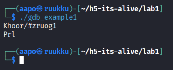 Ohjelman ajo onnistui