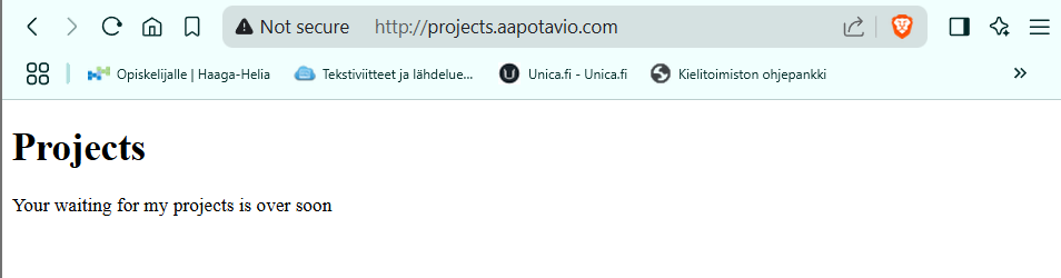 Projects selaimessa ilman linkitystä